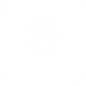 Anti Rayap